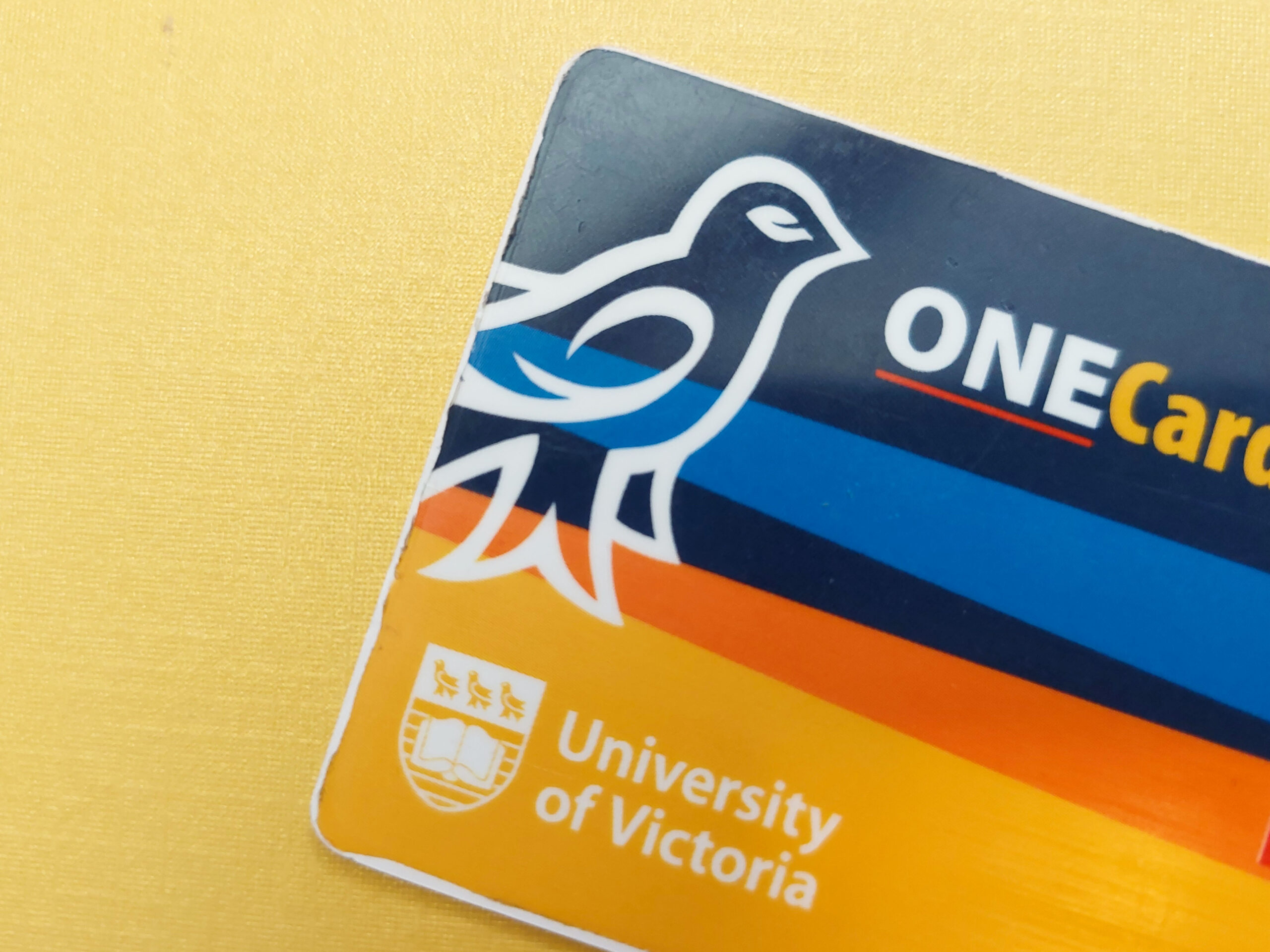 NSU advocates for cost-free ONECard name changes for Indigenous students - Vimarsana News